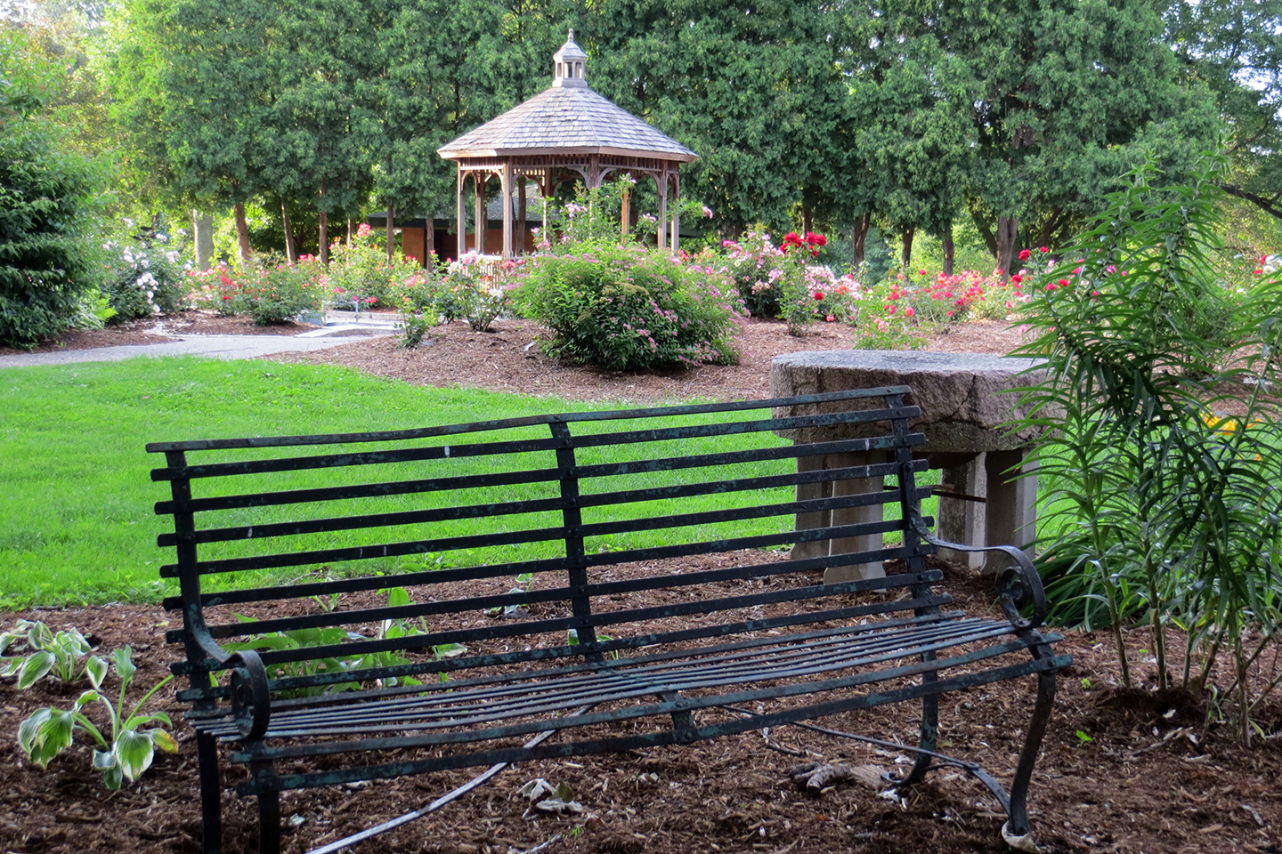weed park bench and gazebo with trees and grass