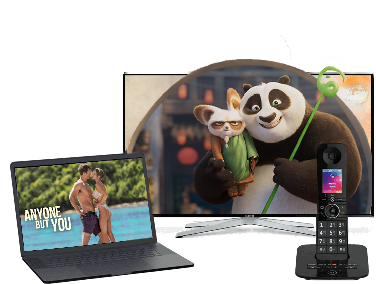 pandas on tv, two people close together on laptop and landline phone