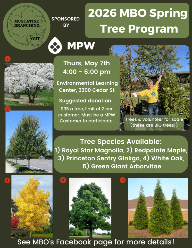Flier promoting Muscatine Branching Out 2026