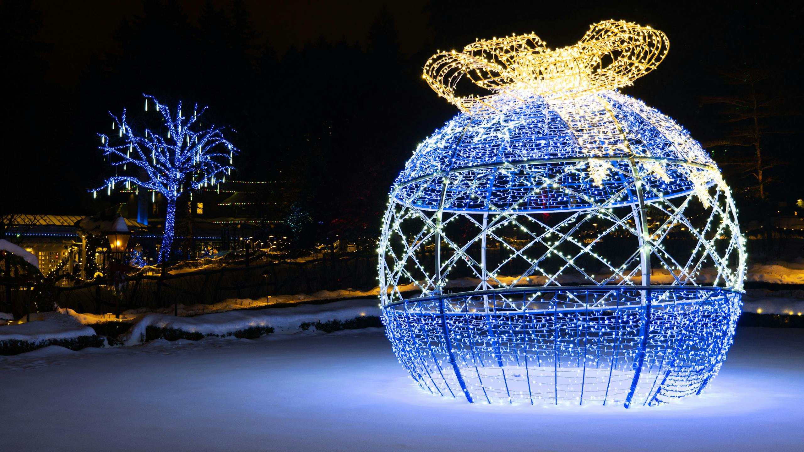 A festive display of Christmas lights on a giant ornament and trees in winter at night.